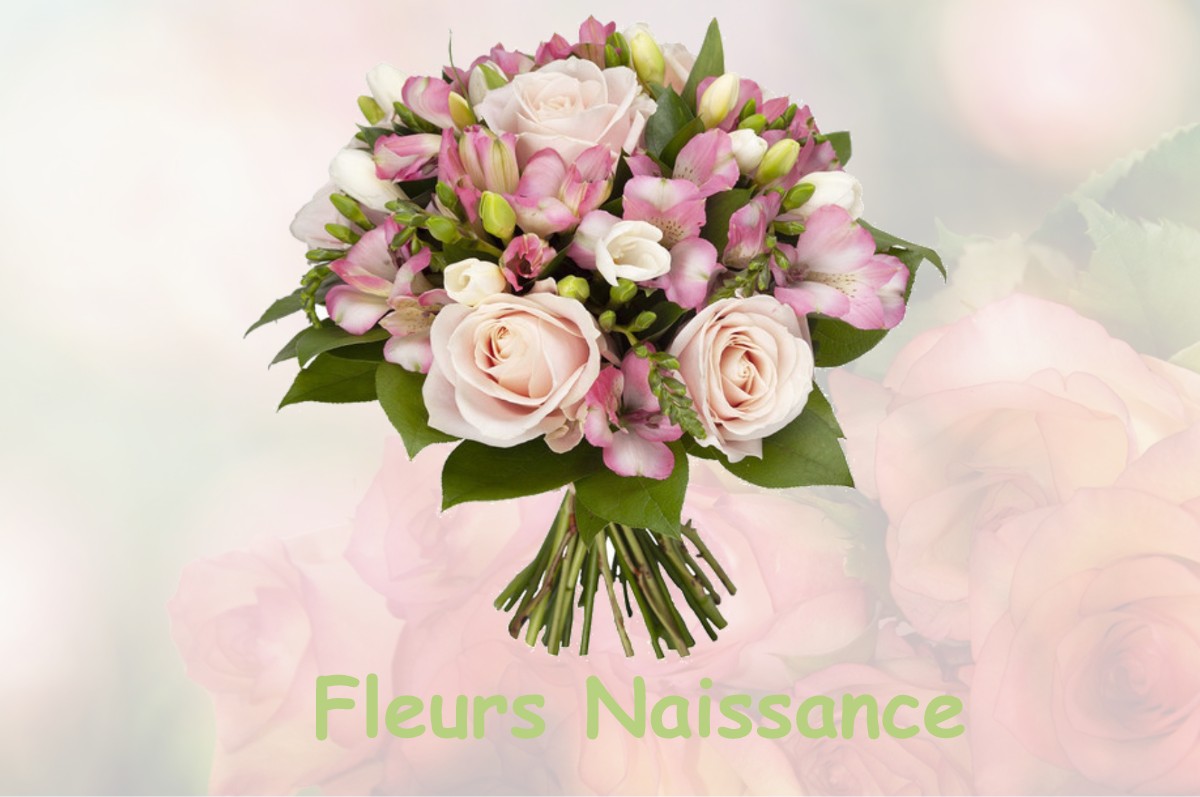 fleurs naissance LE-LAUZET-UBAYE