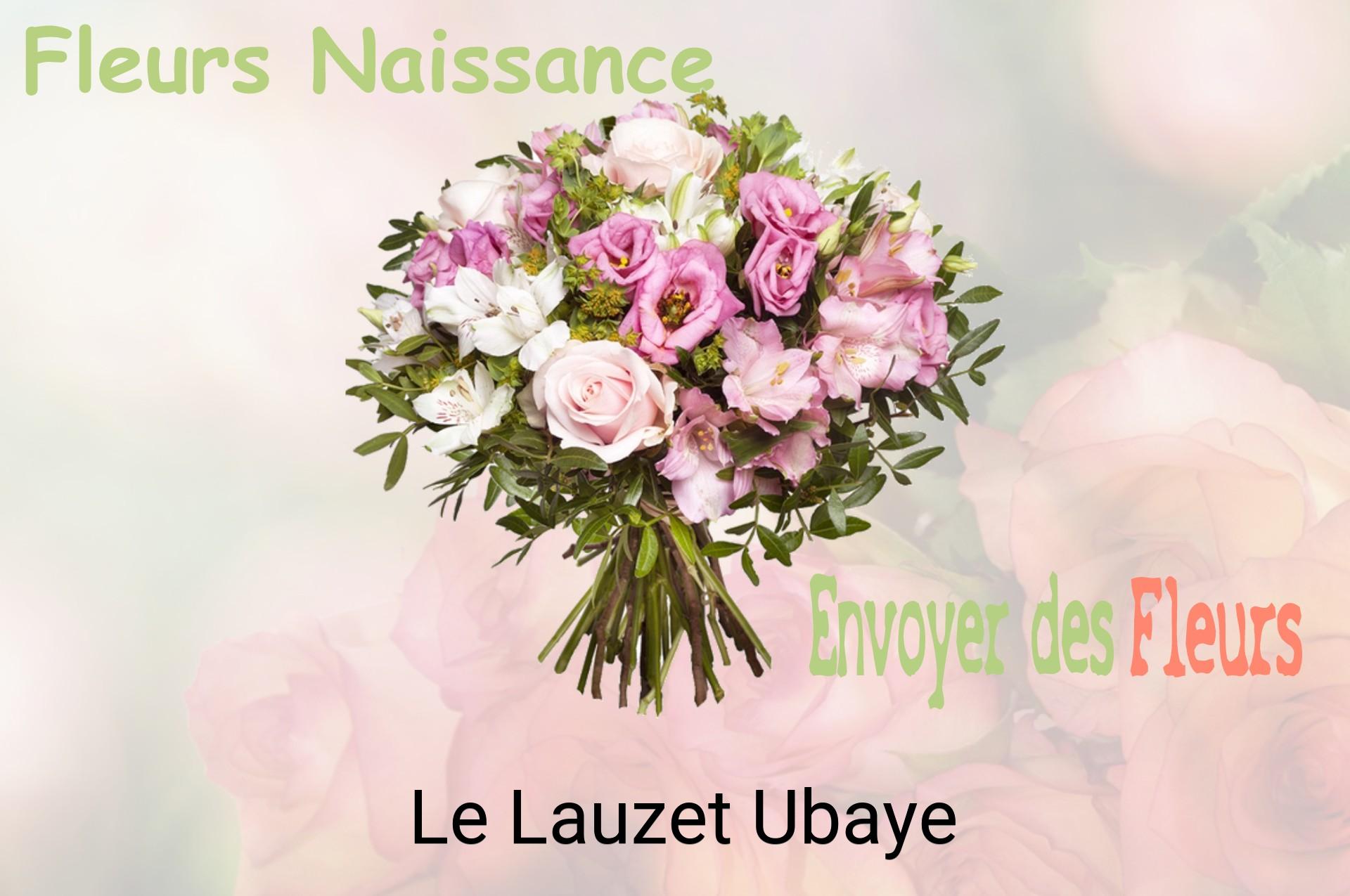 Bouquet de fleurs de naissance livré à Le Lauzet-Ubaye